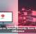 Antivirus vs. Internet Security: Know the Real Difference
